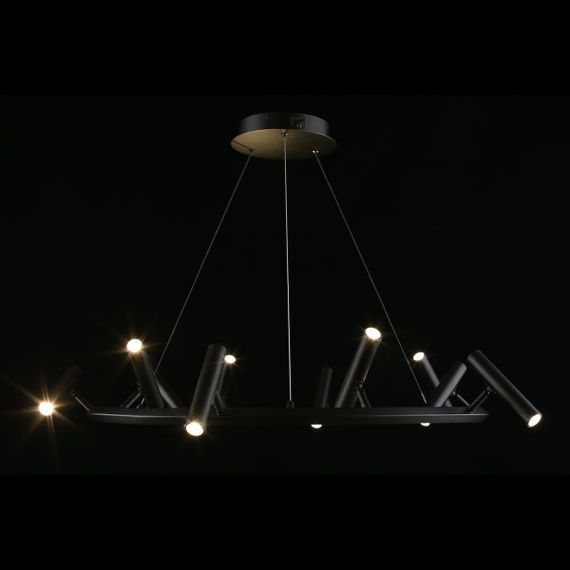 Подвесная светодиодная люстра Aployt Honor APL.067.03.50