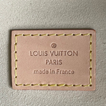 Louis Vuitton Artsy MM