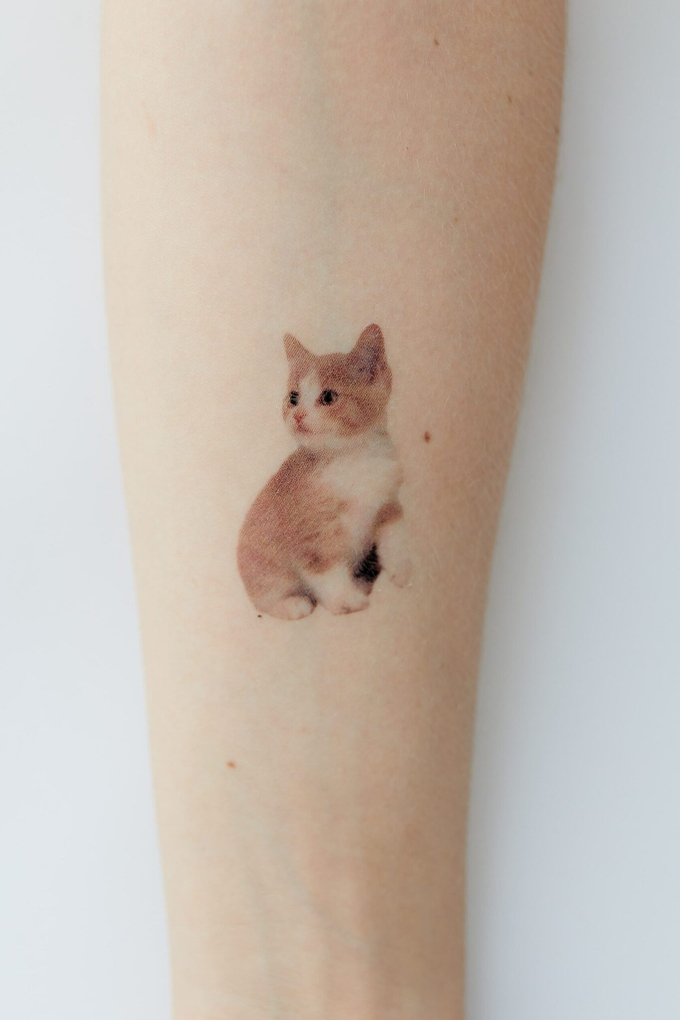 «Татушки-переводнушки»