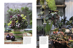 Floral Contemporary: The Renaissance in Flower Design