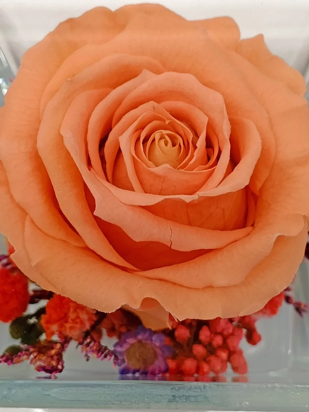 натуральная роза в стекле, вакуум*