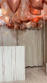 шары под потолок №114