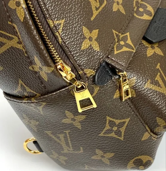 Рюкзак Louis Vuitton Palm Springs PM коричневый