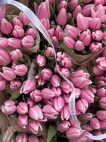 Тюльпаны классика - нежно-розовый цвет