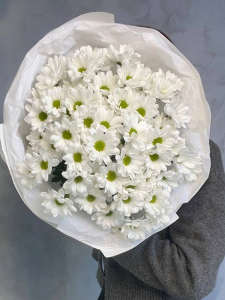 Букет хризантем ромашек Kennedy