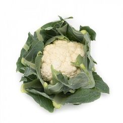 АРИЕНЦО F1 семена капусты цветной (Rijk Zwaan | Alexagro)