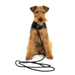 Поводок Weekend Doglea