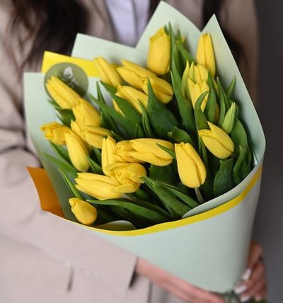 25 жёлтых тюльпанов