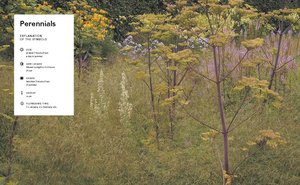Planting the Natural Garden by Piet Oudolf and Henk Gerritsen