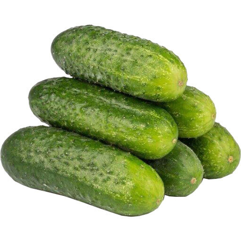 268604