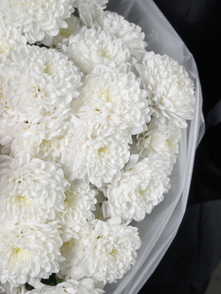 Облако любви 11