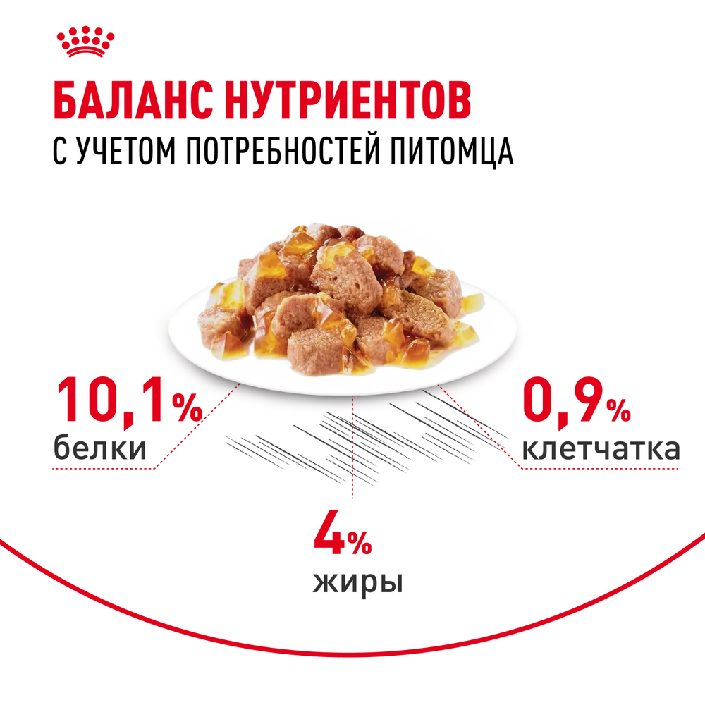 Корм консервированный Royal Canin Hair&Skin Care полнорационный для взрослых кошек для поддержания здоровья кожи и красоты шерсти, тонкие ломтики в желе - 85 гр
