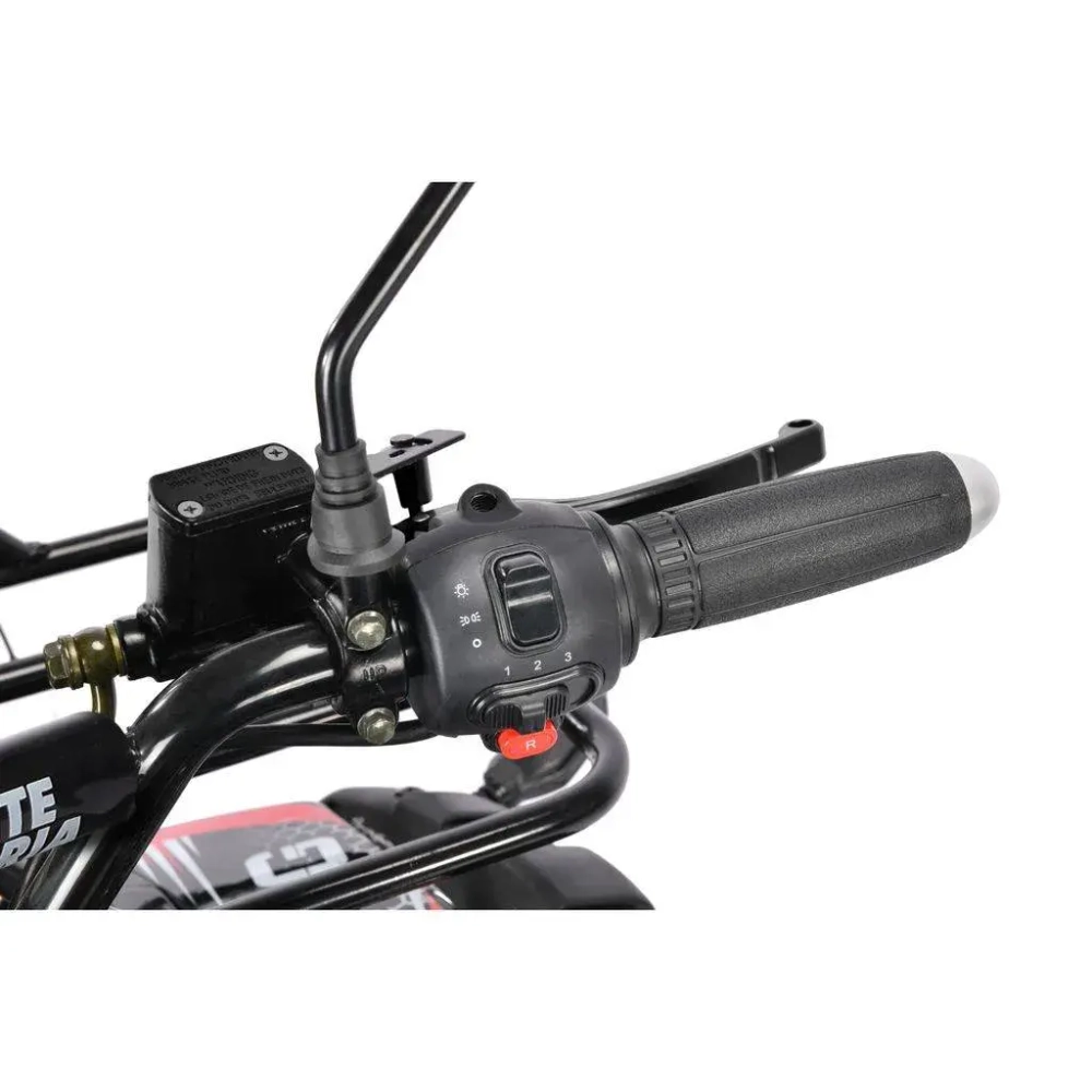 Электроквадроцикл WHITE SIBERIA SNEG Pro 3000W