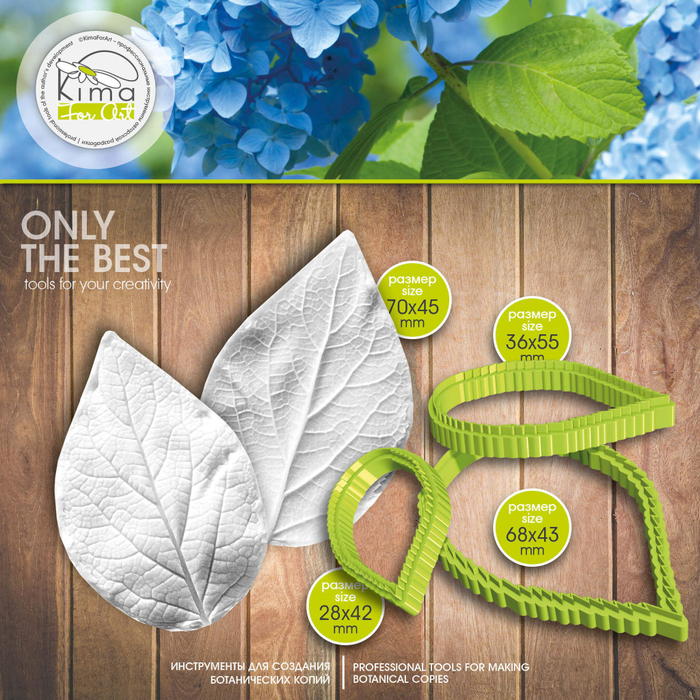 Гортензия лист средний