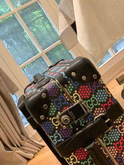 Gucci Globe Trotter Suitcase