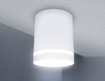 Накладной светильник Ambrella Light TN TN3202