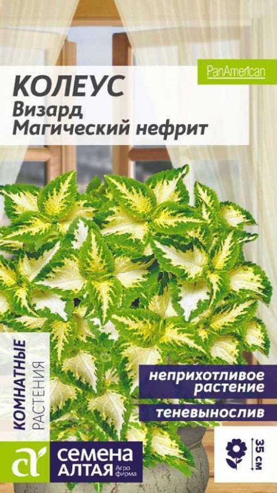 Колеус &quot;G. Визард Магический Нефрит&quot; 5шт., Россия.