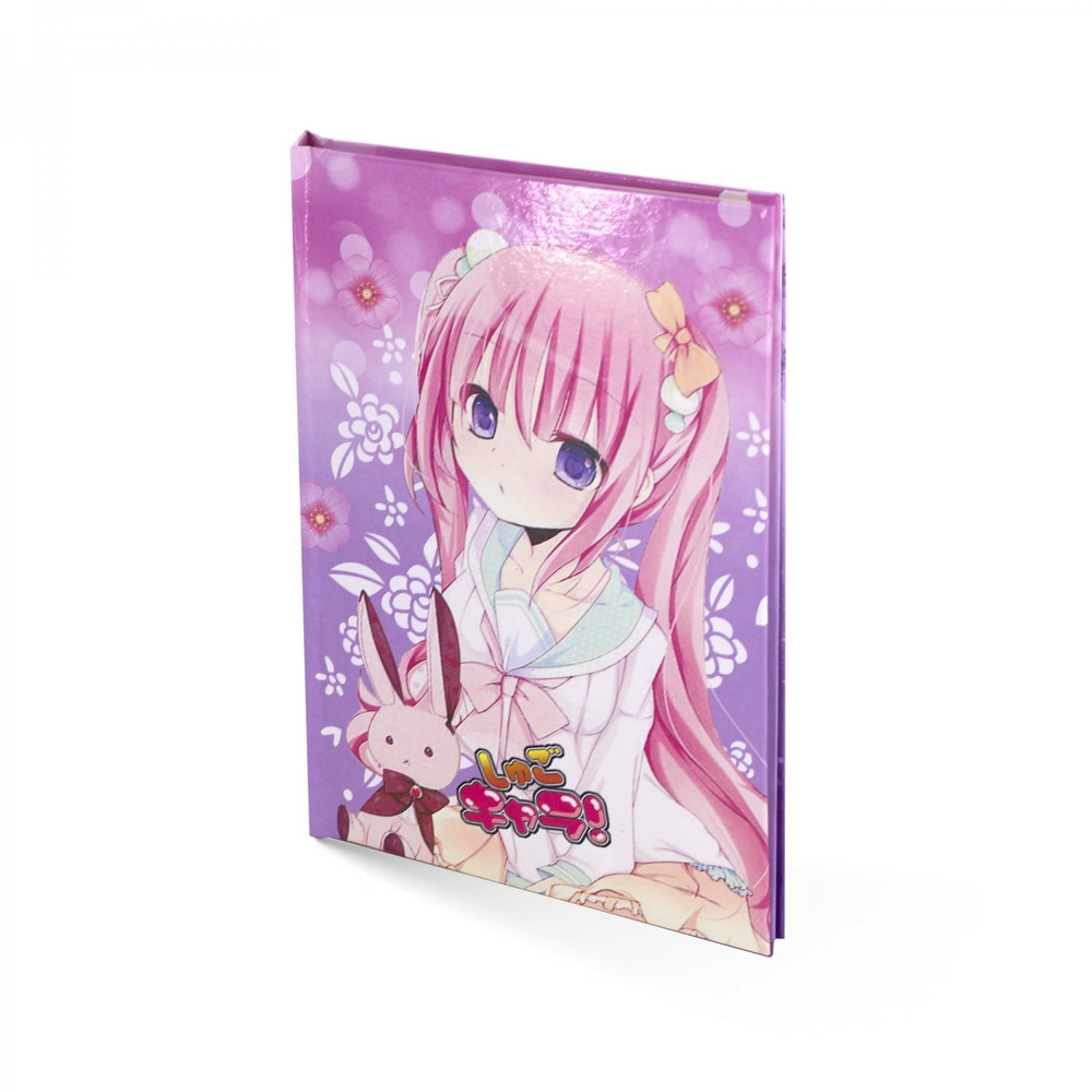 Блокнот в футляре, 14,5 см * 20,5 см, 7БЦ, Alingar, ламинация, замочек, вн.блок с дизайном, в линию, 45 л., "Модница с игрушкой"