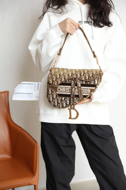 Christian Dior Saddle Bag 25 cm