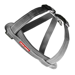 Шлейка Chest Plate EzyDog