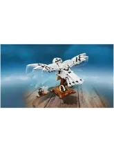 Конструктор Harry Potter 75979 Сова Букля
