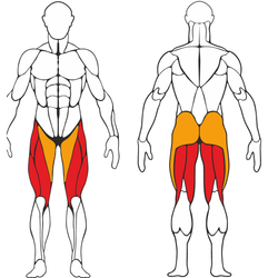 Сгибание-разгибание ног 2в1 Черный