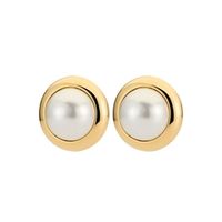 серебряный  +  белый