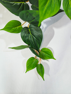 Герань густая малиновая 35см в настенной коковите