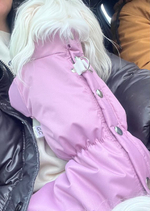 Демисезонный комбинезон для собак (девочка)