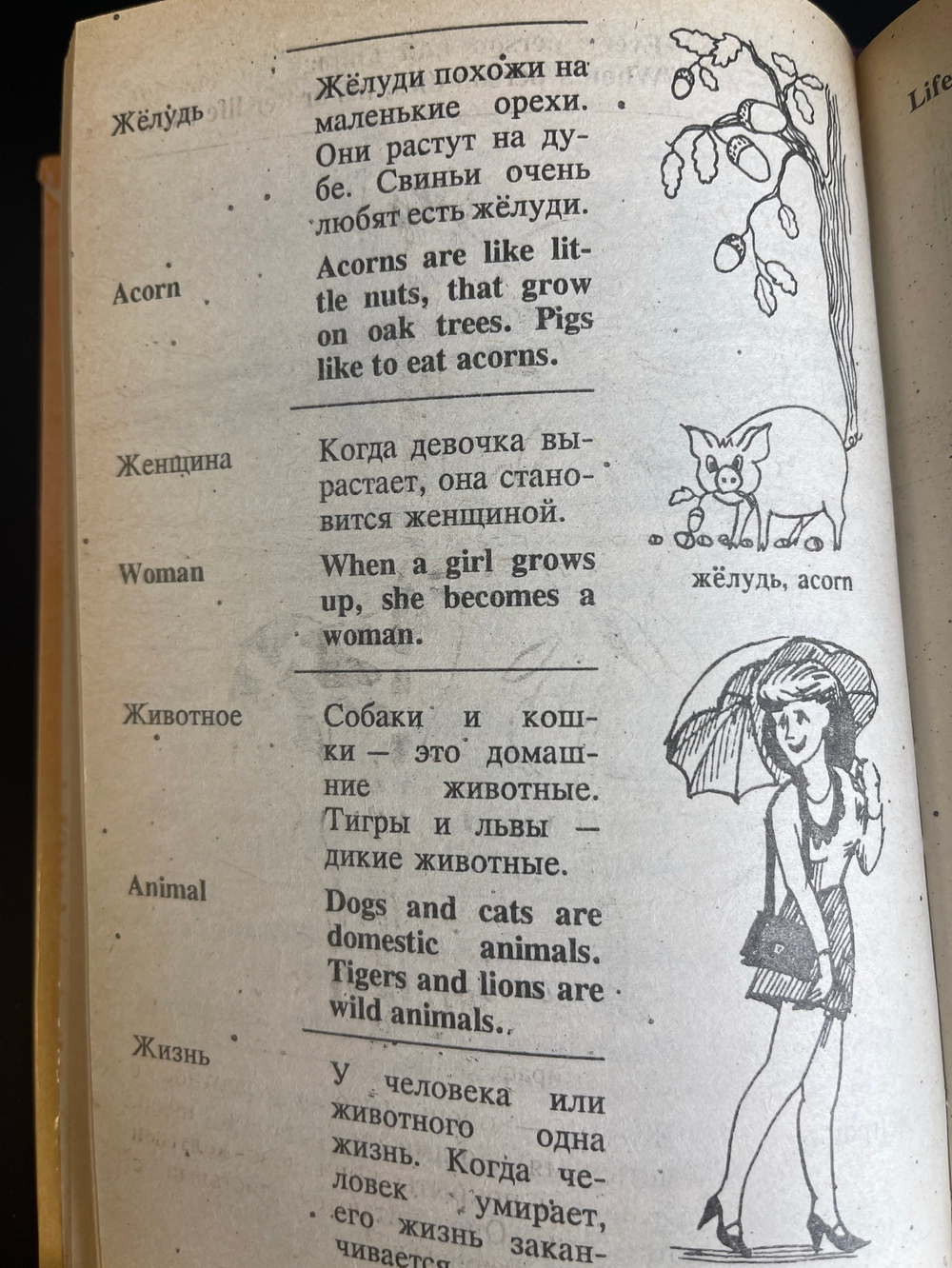 Книга детский русско- английский словарь в картинках, более 1000 слов, их значений и способов употреболения, Москва