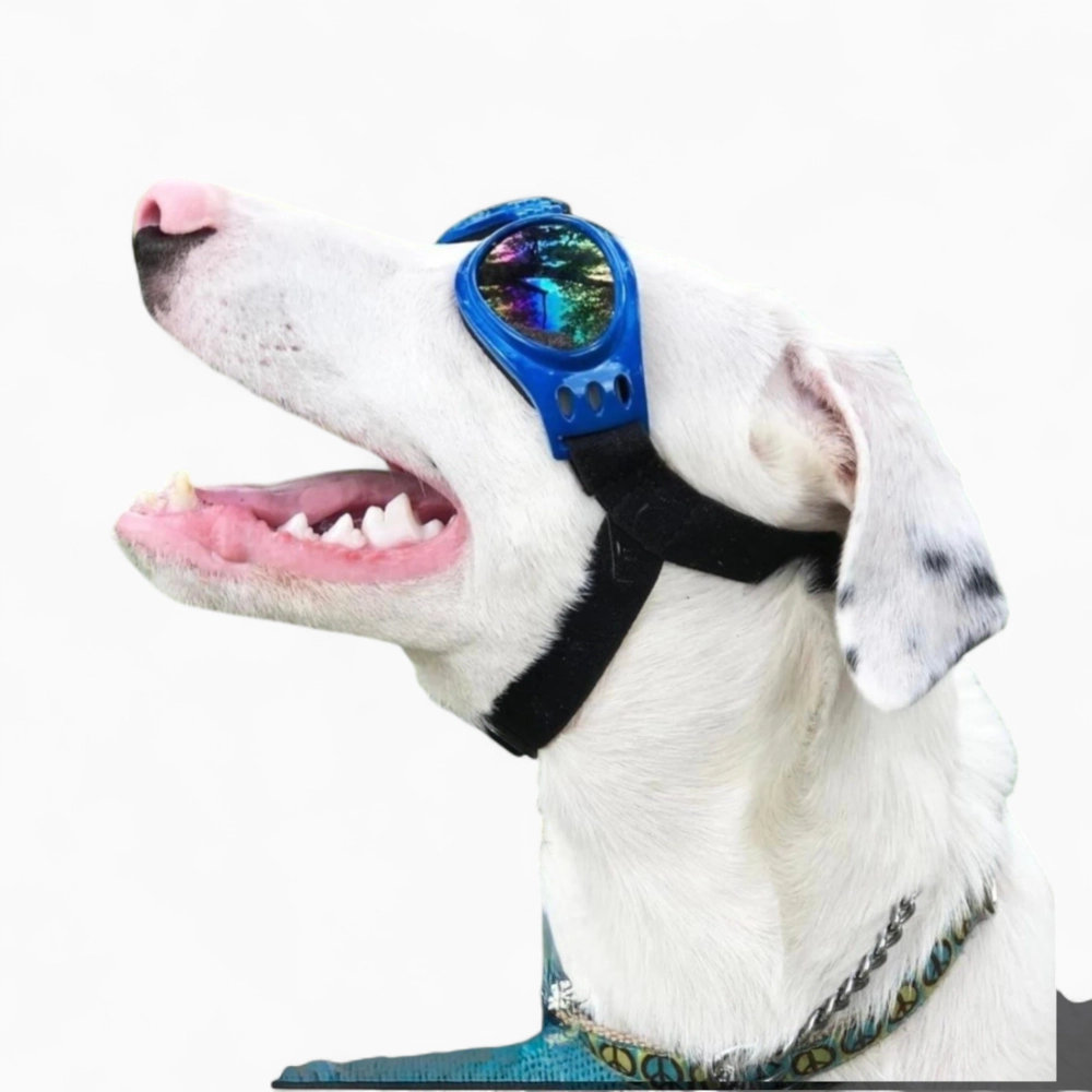 Очки «Cool Rider»