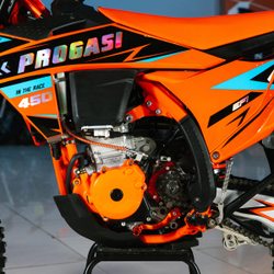 Мотоцикл эндуро PROGASI ENDURANCE 450CC EFI (194MQ) ORANGE 21/18
