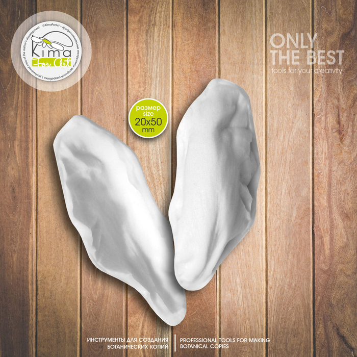 Пион древовидный лепесток маленький