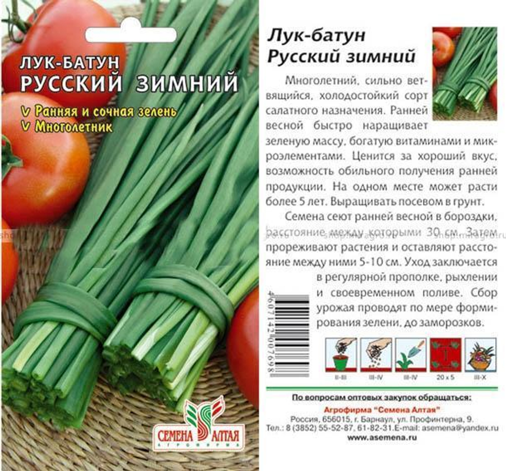 Семена Лук батун Русский зимний