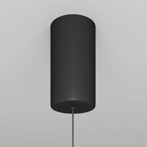 Подвесной светильник Maytoni Ray P022PL-L10B