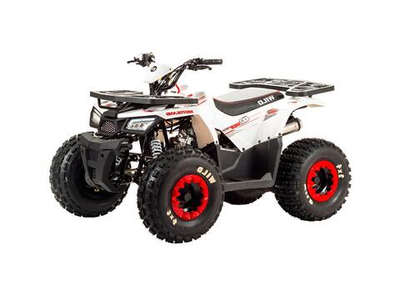 Квадроцикл MOTOLAND 125 Wild