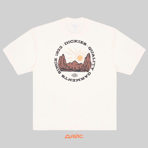 Футболка мужская Dickies Outdoor артикул:DK0A4Z8PC481 - купить в магазине Дайс