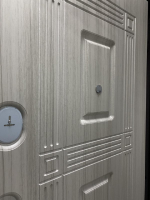 Дверь входная Леда