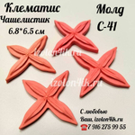 Молд С-41