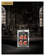 Шкаф для вызревания мяса DRY AGER DX 500 Premium S