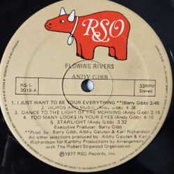 Винтажная виниловая пластинка LP Andy Gibb Flowing Rivers (USA 1977)