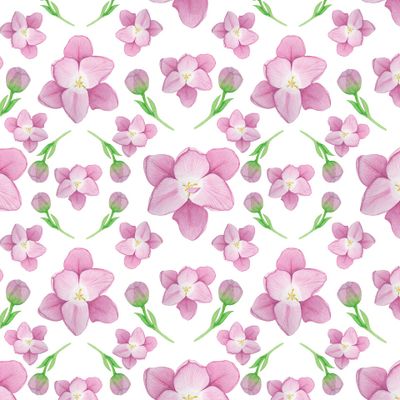 Розовые тюльпаны на белом фоне