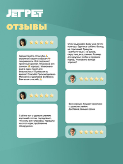 Jet Pet Fun корм для собак средних и крупных пород с высокой физической нагрузкой, говядина 12 кг
