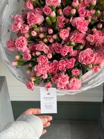 Моно букет из кустовых диантусов в розовом оттенке 51 шт