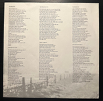 The Rainmakers- Tornado (Голландия 1987г.)