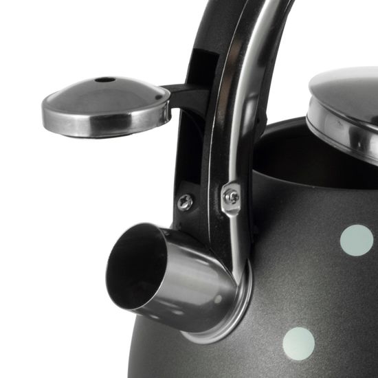 Чайник 2,5 л. из нержавеющей стали со свистком Kamille KM-1099 с рисунком "горошек"