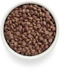 Grandorf GASTROINTESTINAL, Gluten & Grain Free, Veterinary Diet (Turkey)