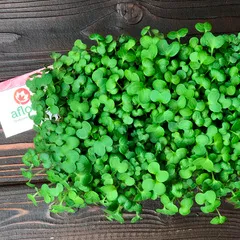 Горчица на корне / 1 шт