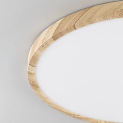 Citilux БейсикCL738322V LED Светильник накладной Клён