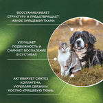 ProPhyto Артро Защита, 100 таблеток